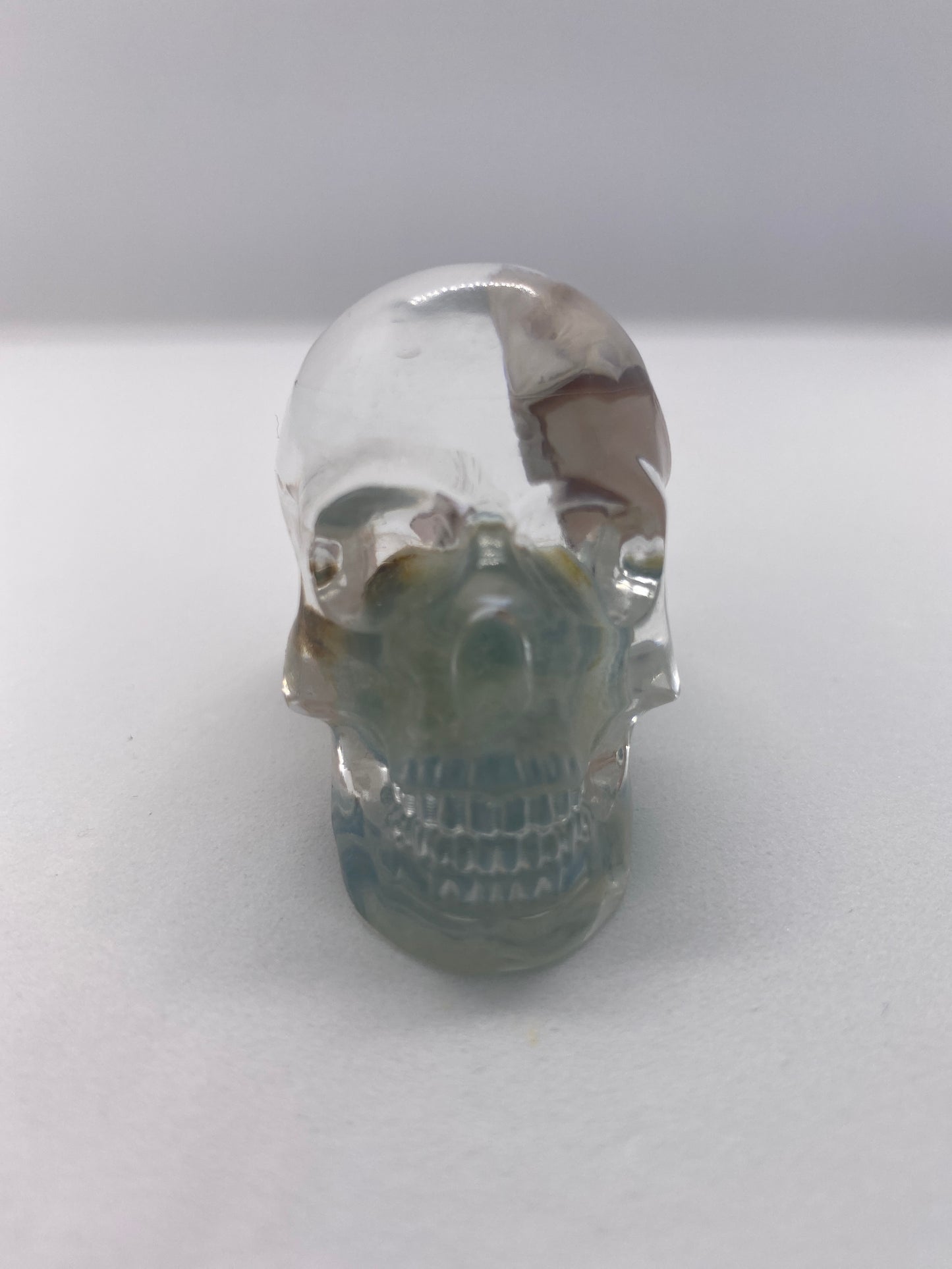 Alba Skull