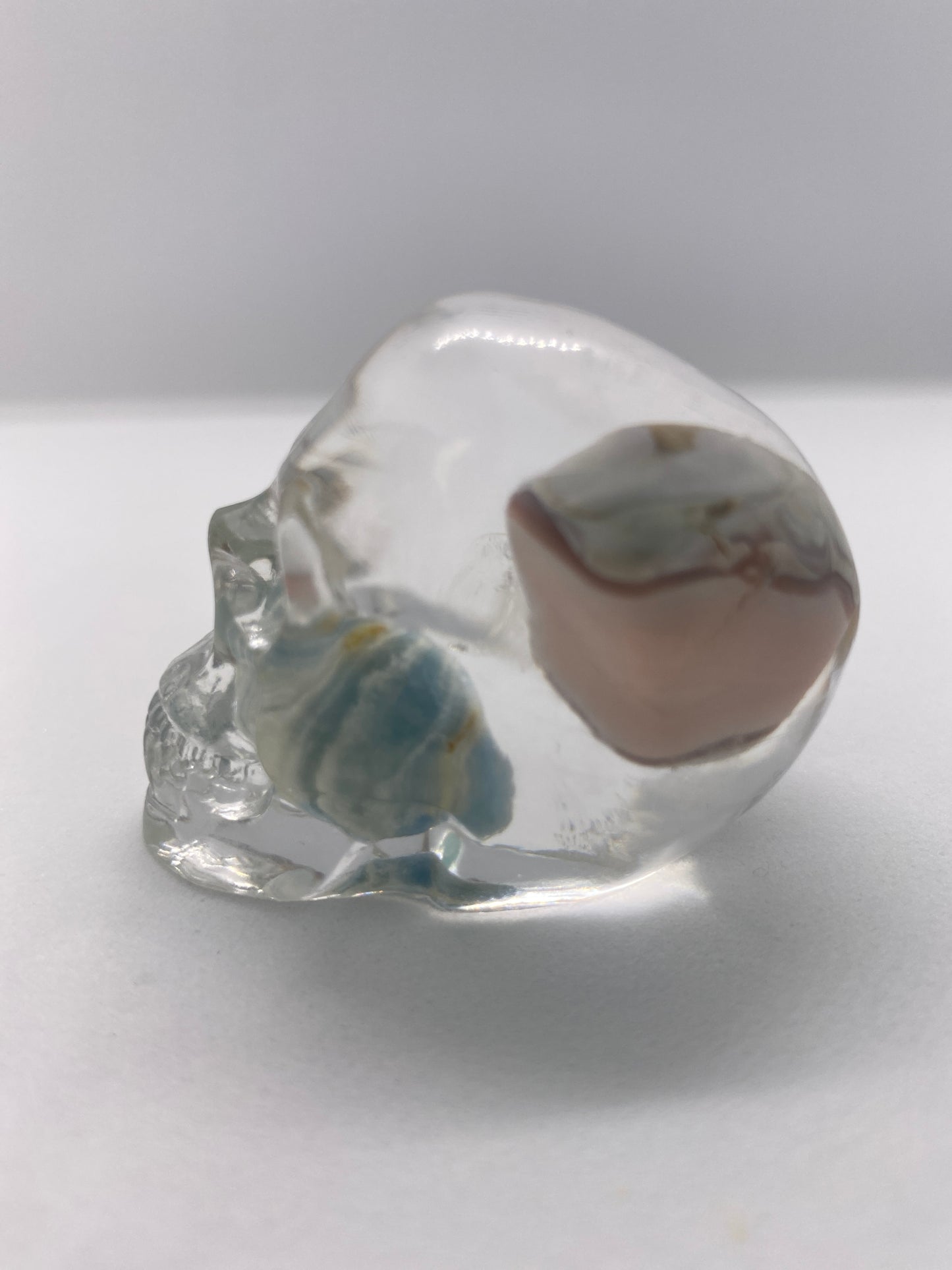 Alba Skull