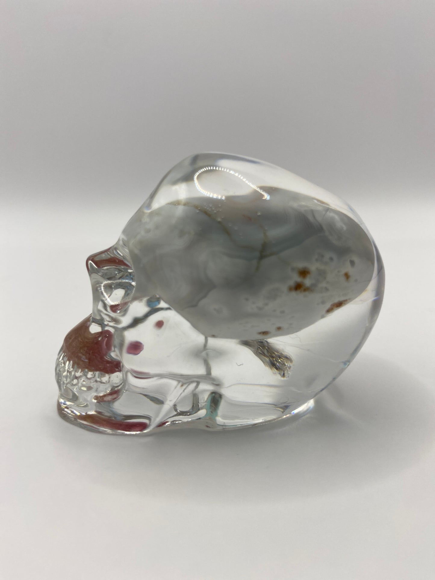 Arden Skull Left