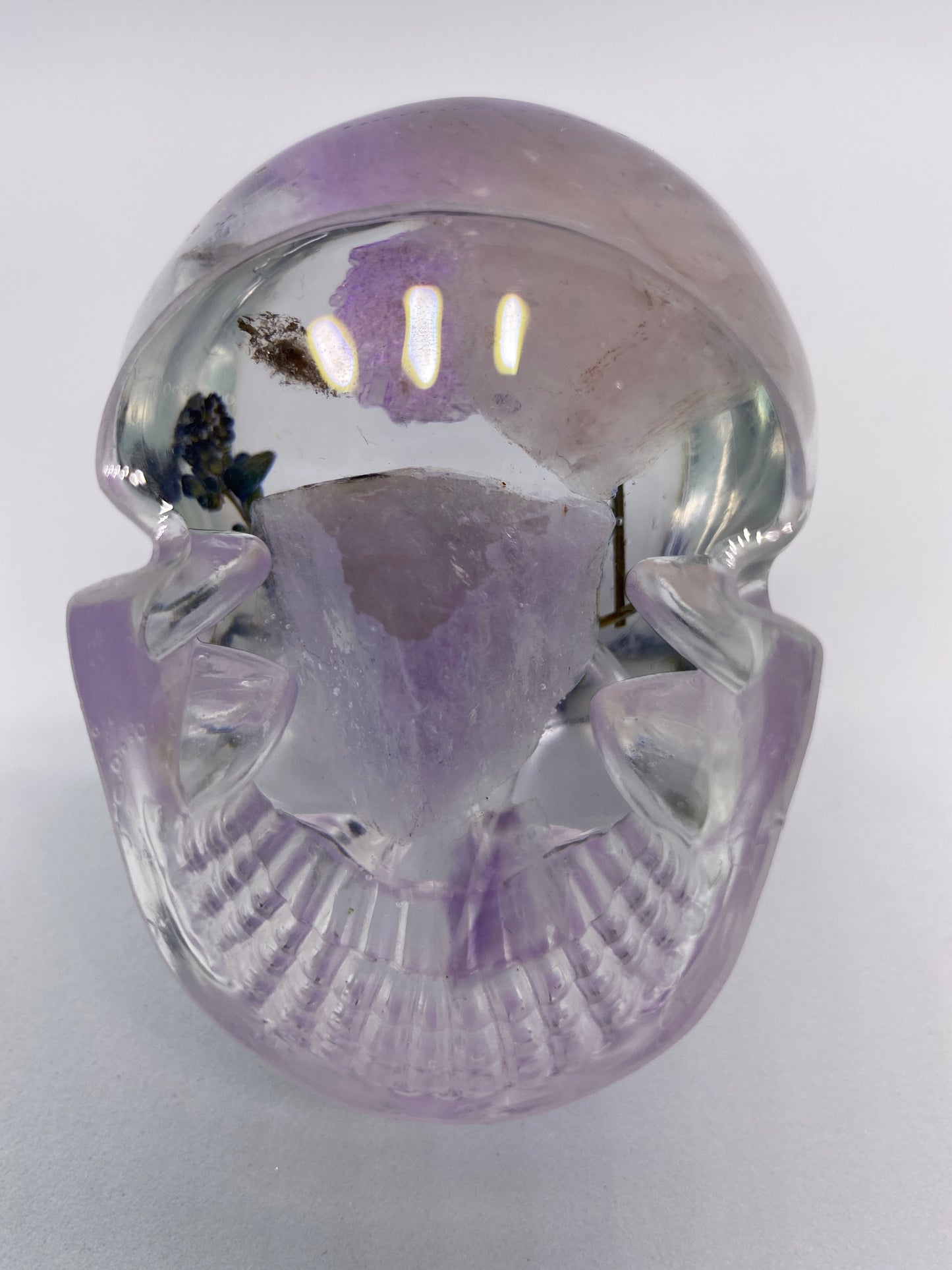 Diana Skull Bottom