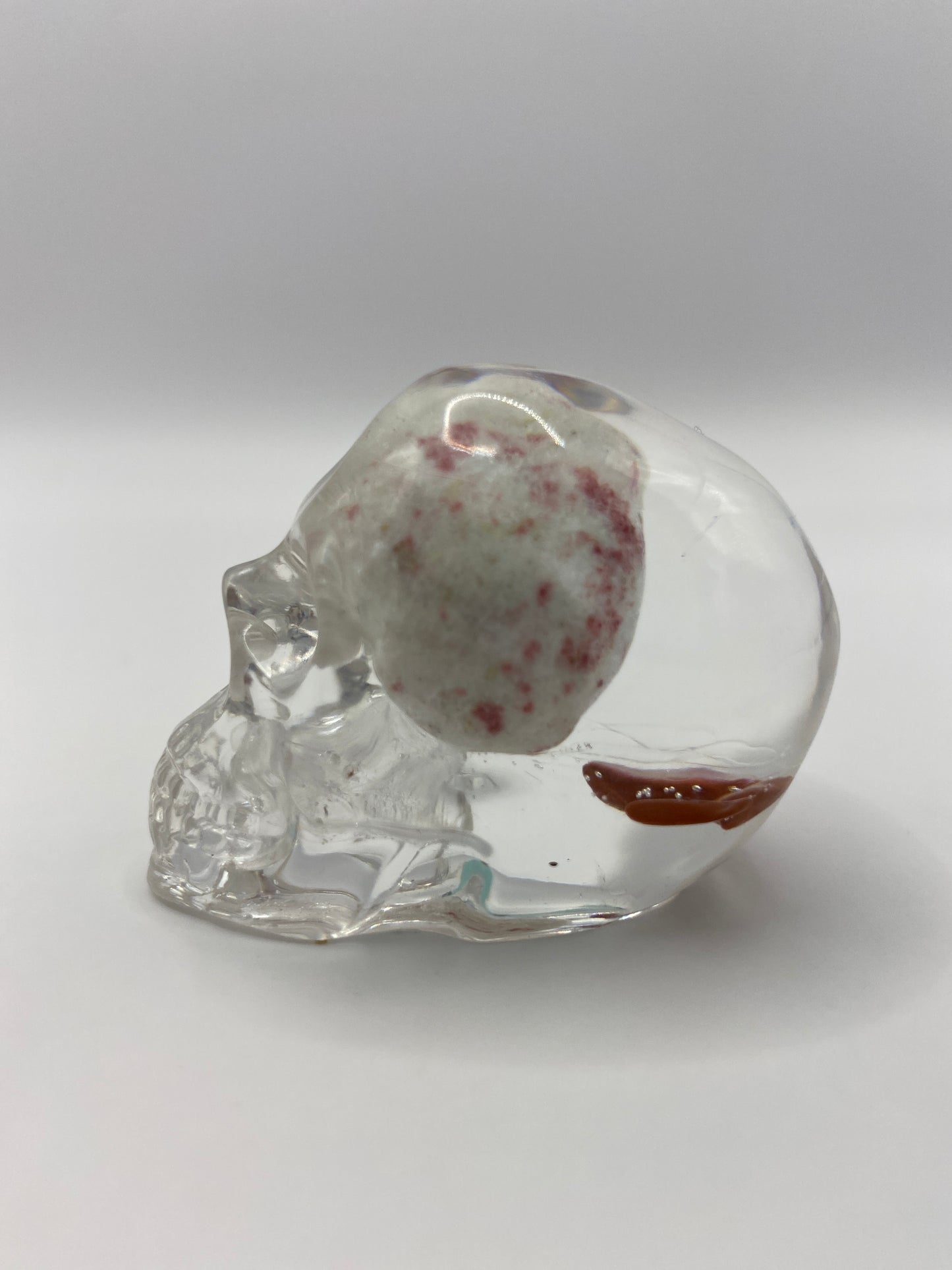 Evelyn Skull Left