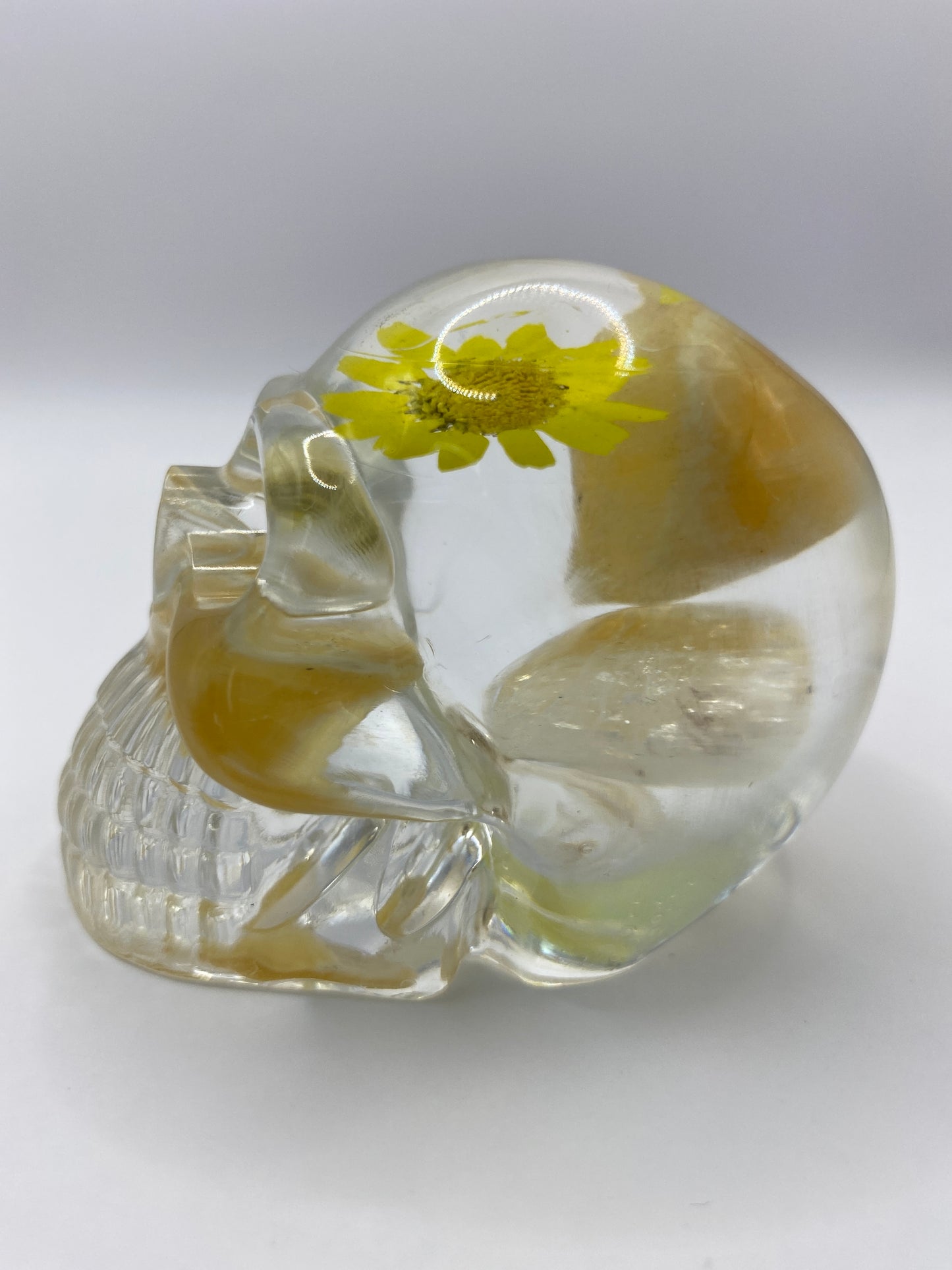 Gayle Skull Left