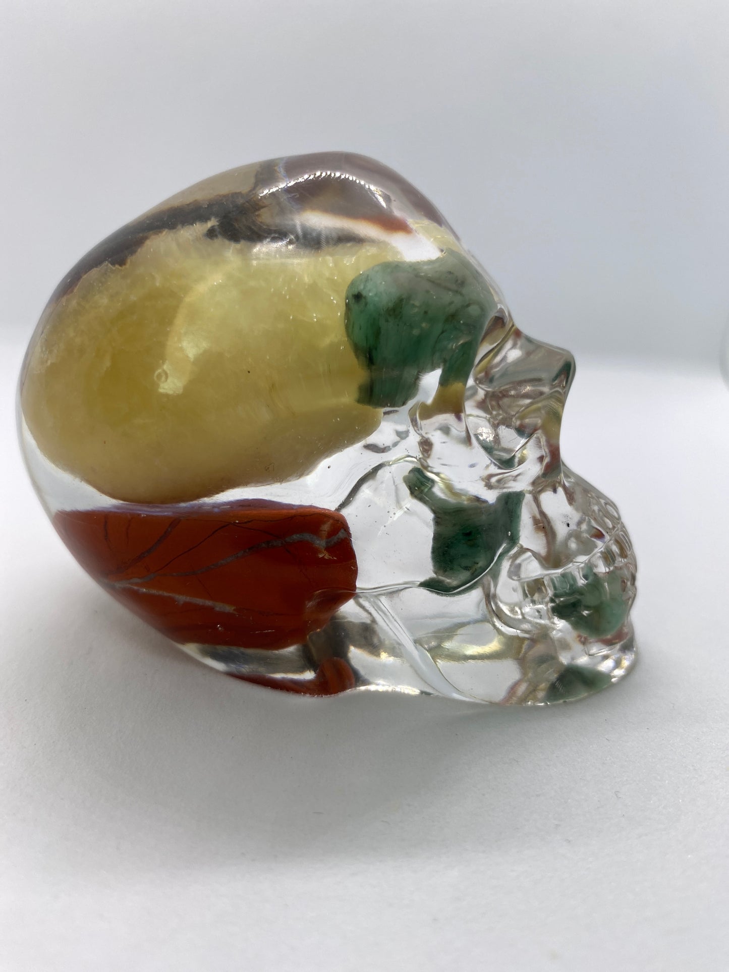 Gopher Skull Right