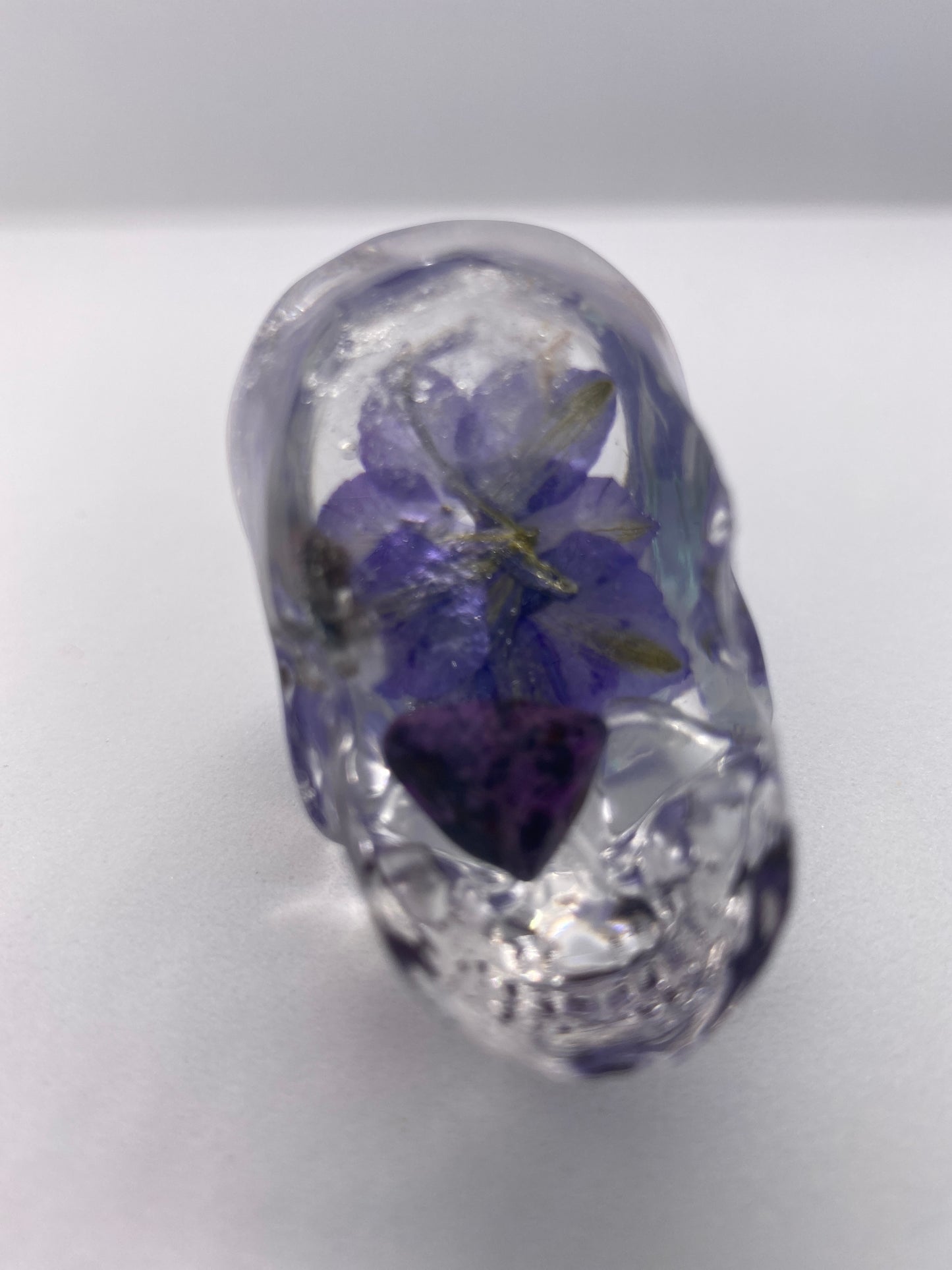 Holly Skull Bottom