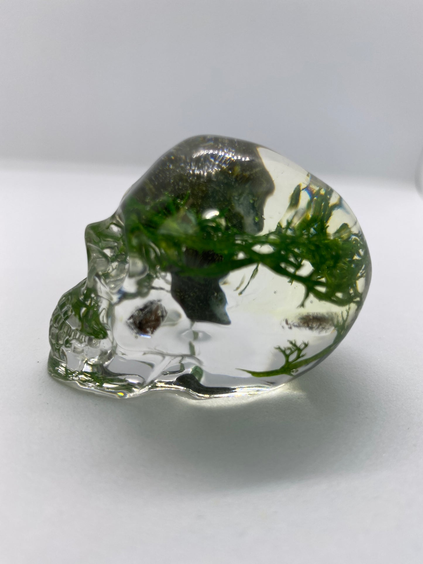 Mush Head Skull Left