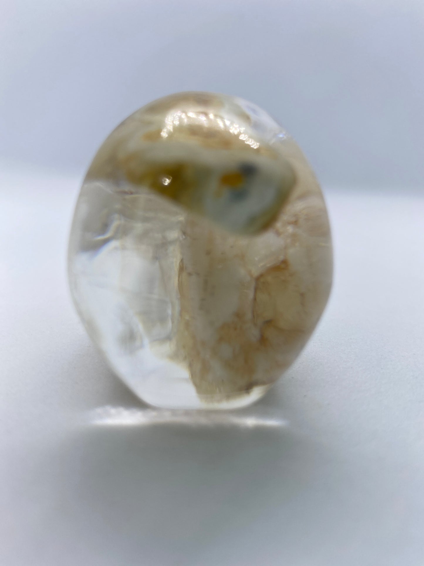 Riley Skull Back