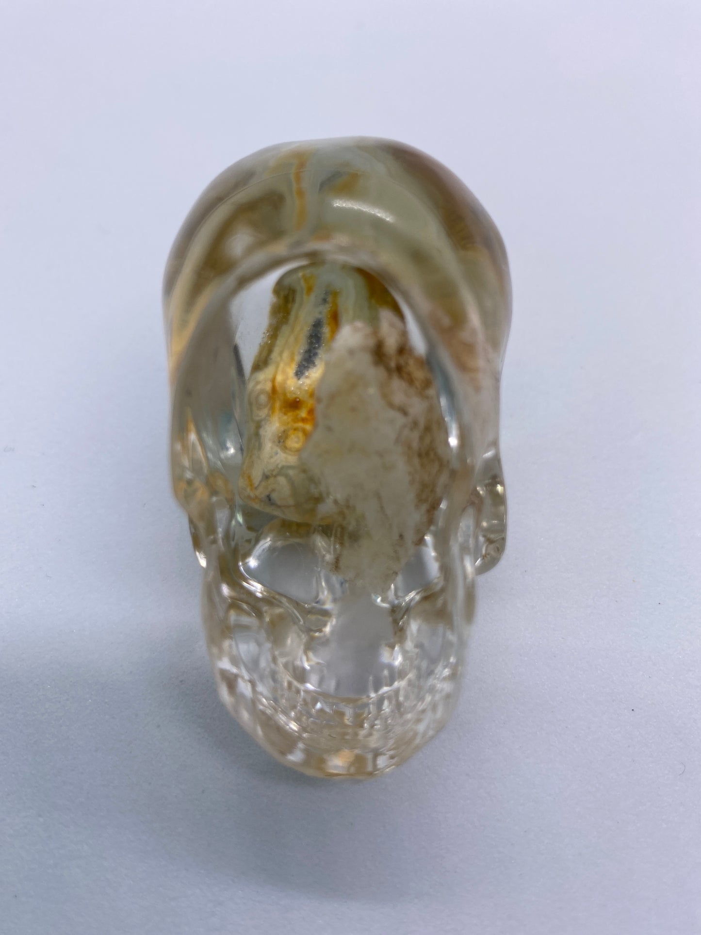 Riley Skull Bottom
