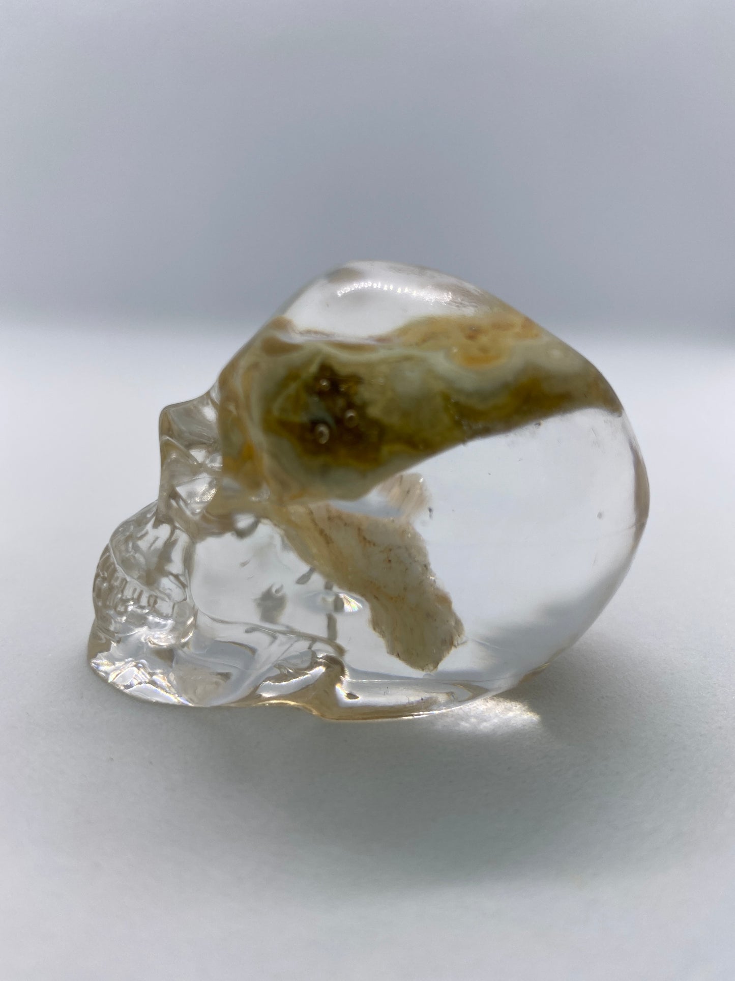Riley Skull Left