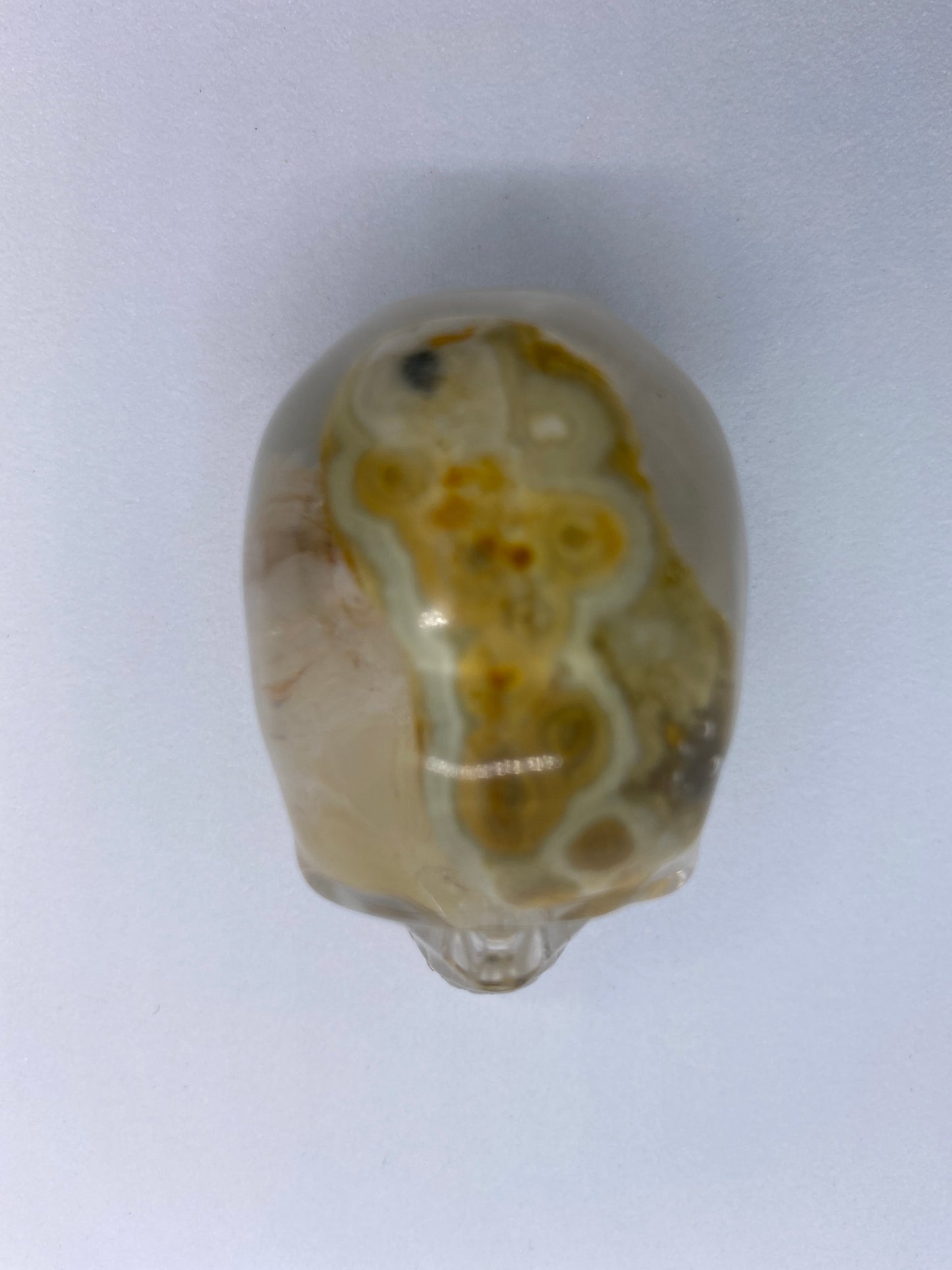 Riley Skull Top