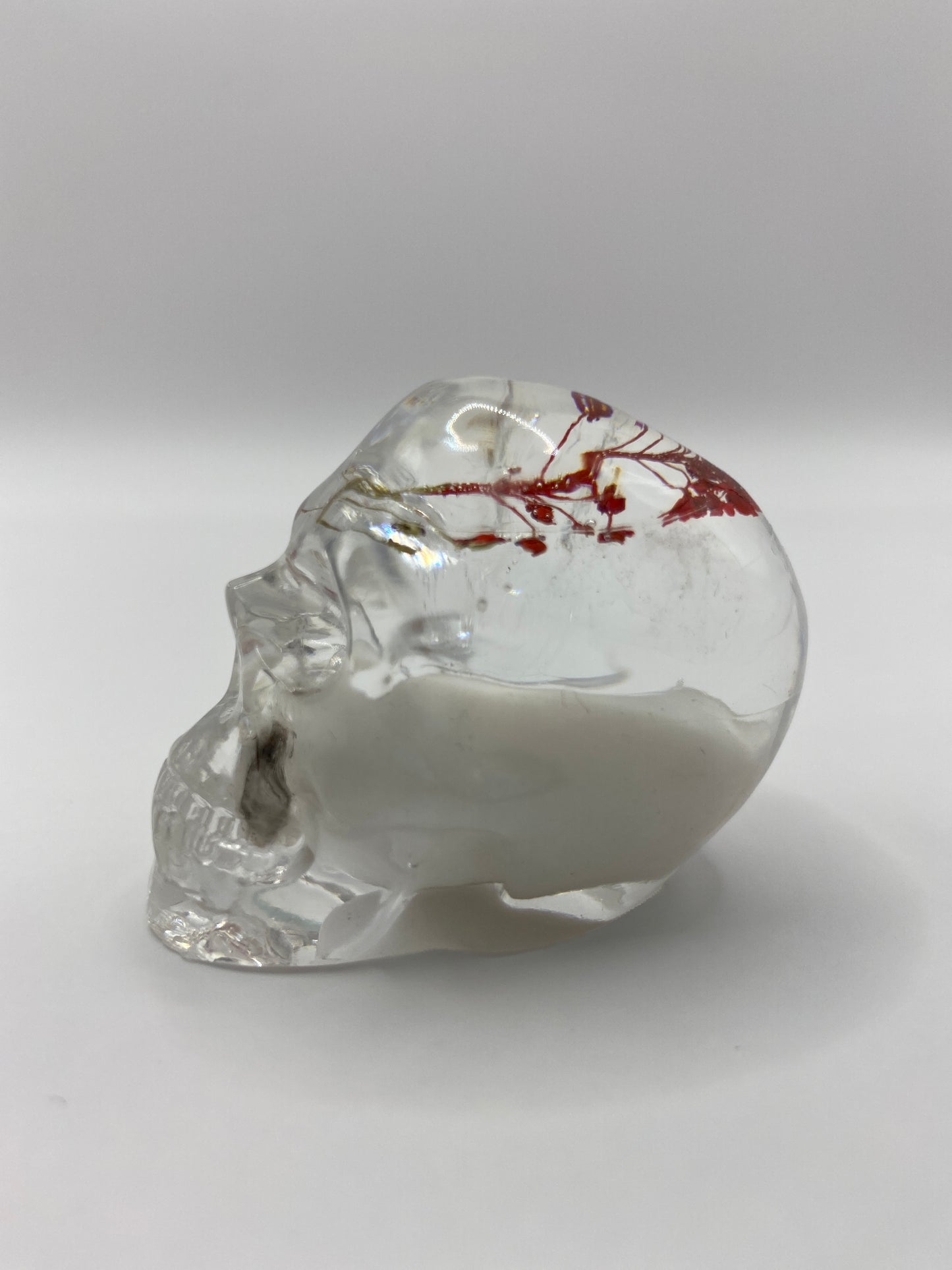 Shani Skull Left