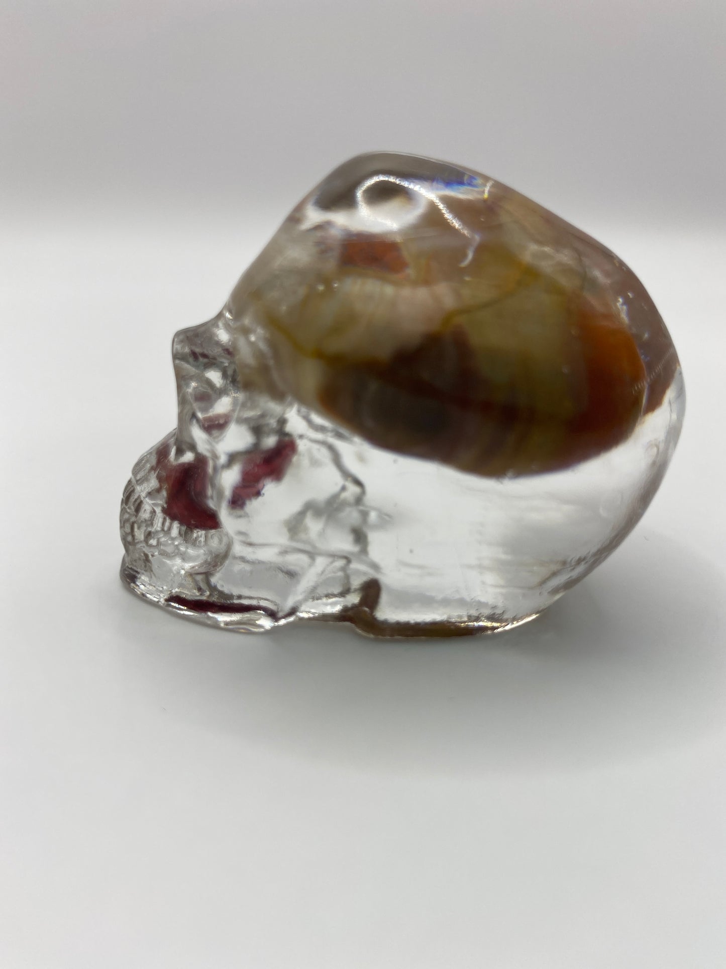 Stetson Skull Left