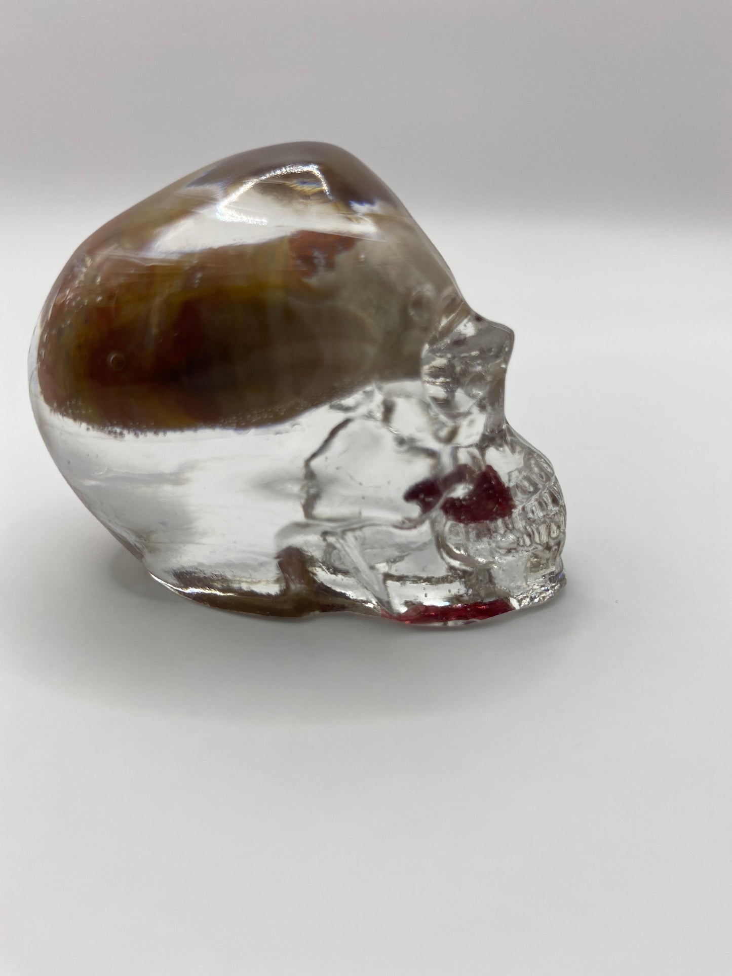Stetson Skull Right