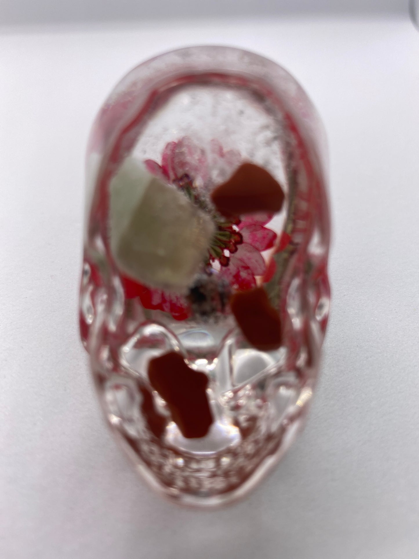 Tina Skull Bottom