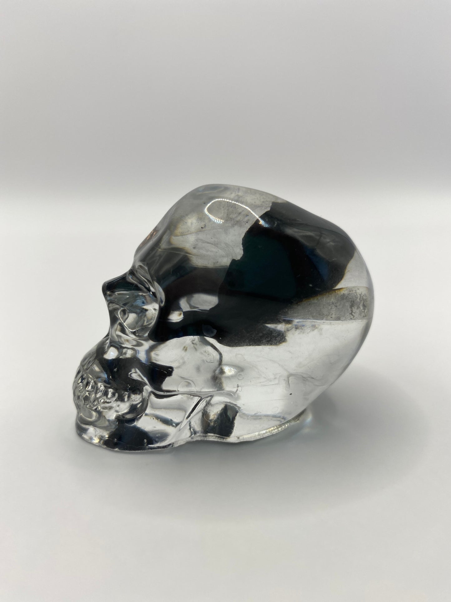 Wells Skull Left