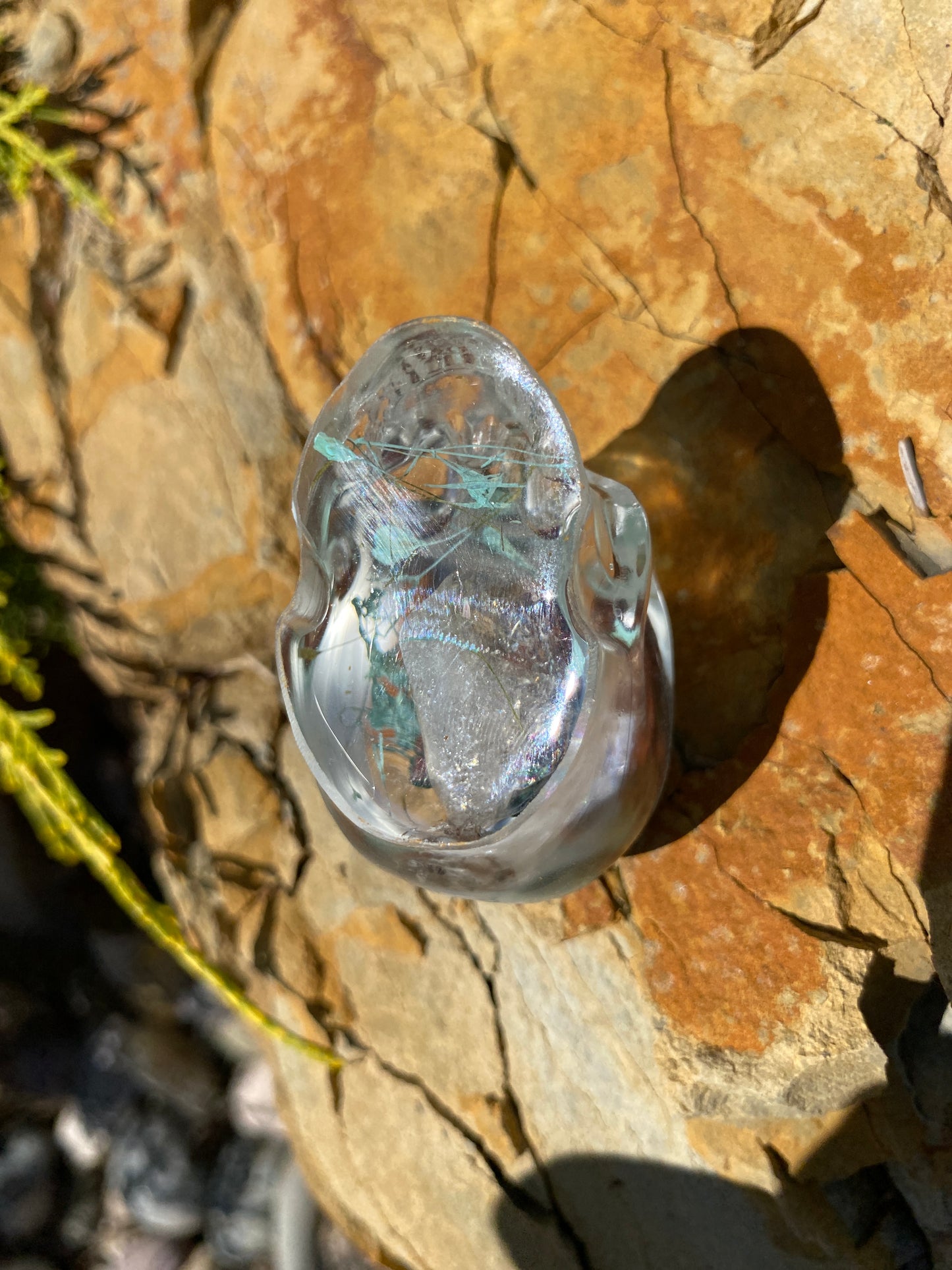 Wrenley Fairy Skull bottom