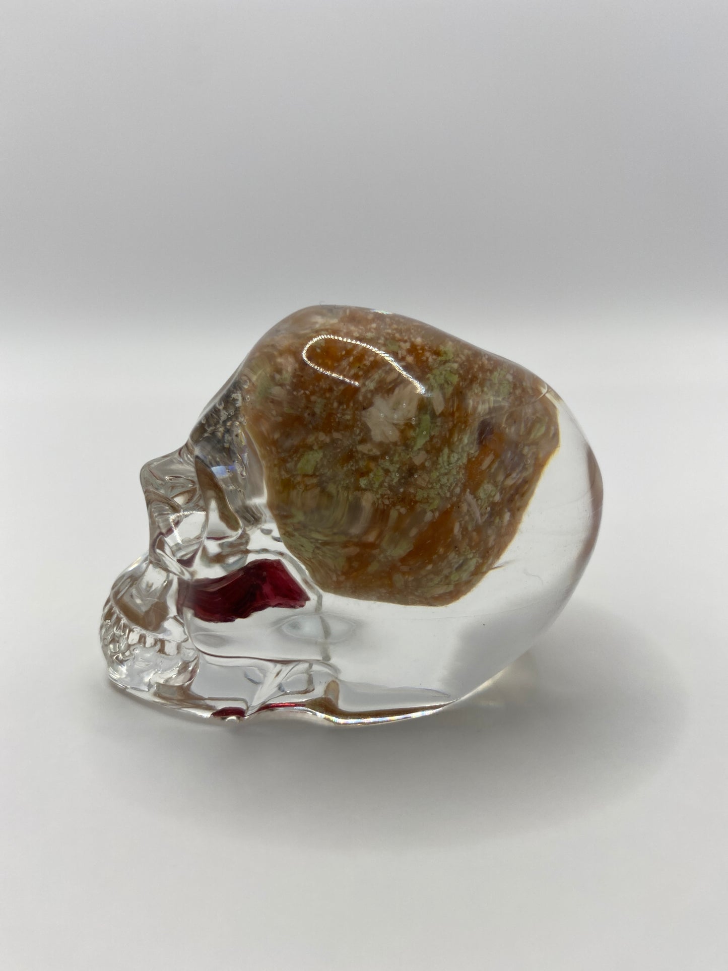 Conway Skull Left