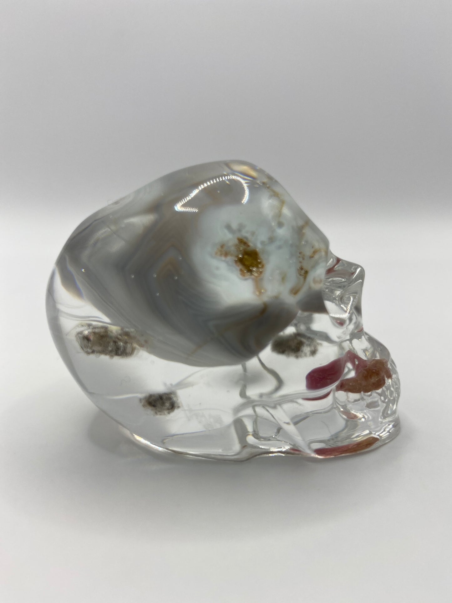 Arden Skull Right