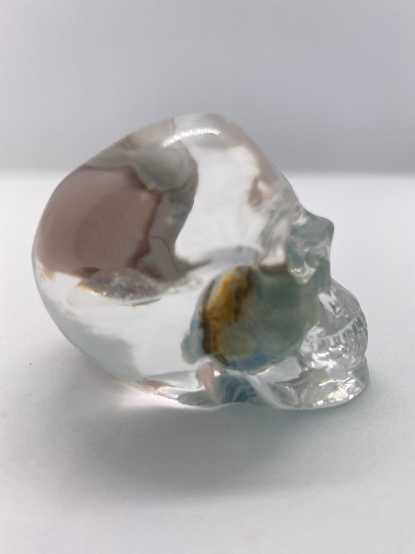 Alba Skull Right