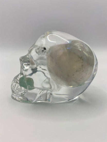 Carissa Skull Left