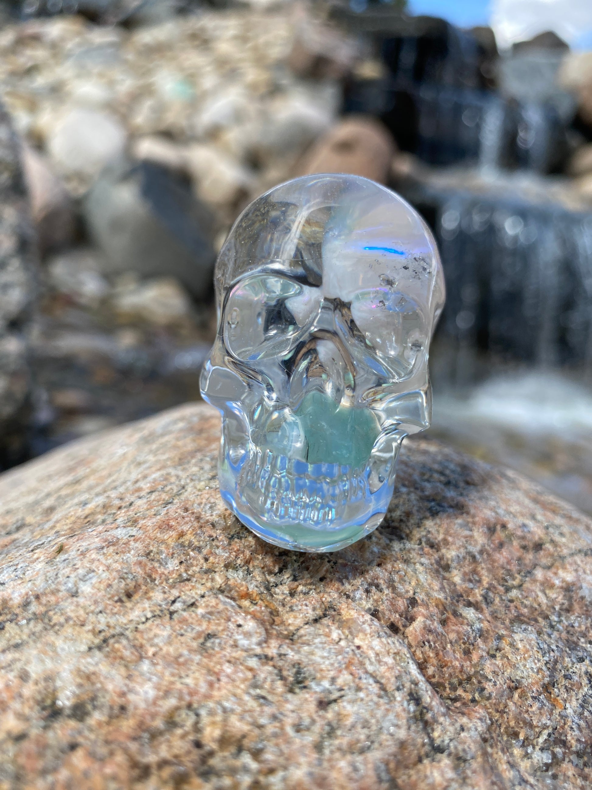 Carissa Skull