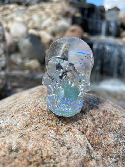 Carissa Skull