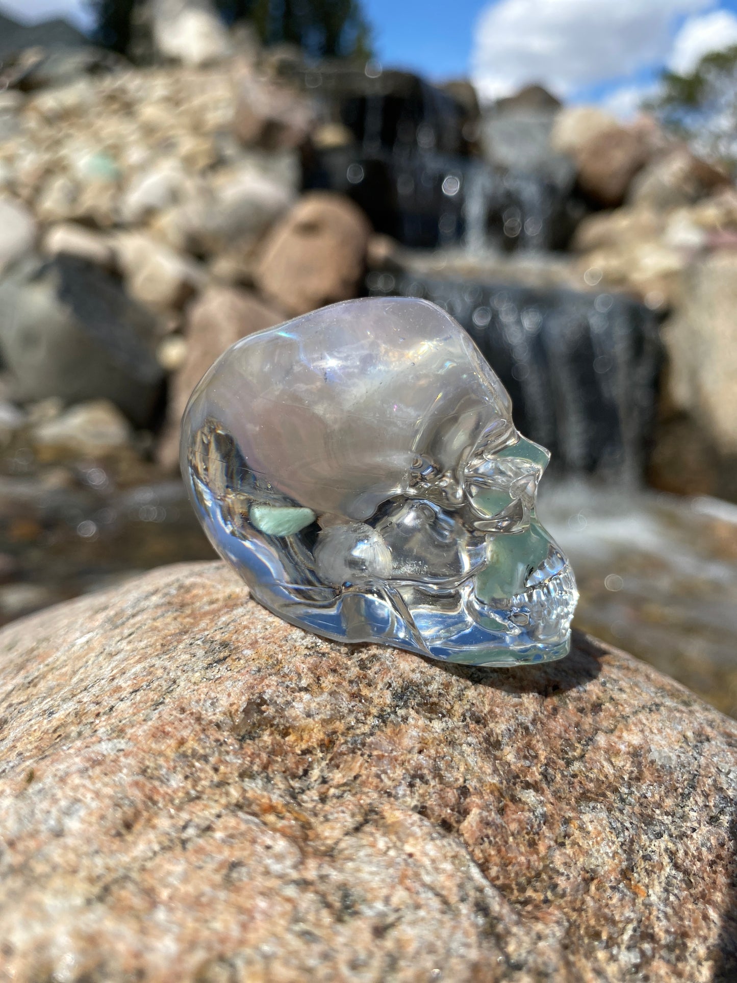 Carissa Skull right