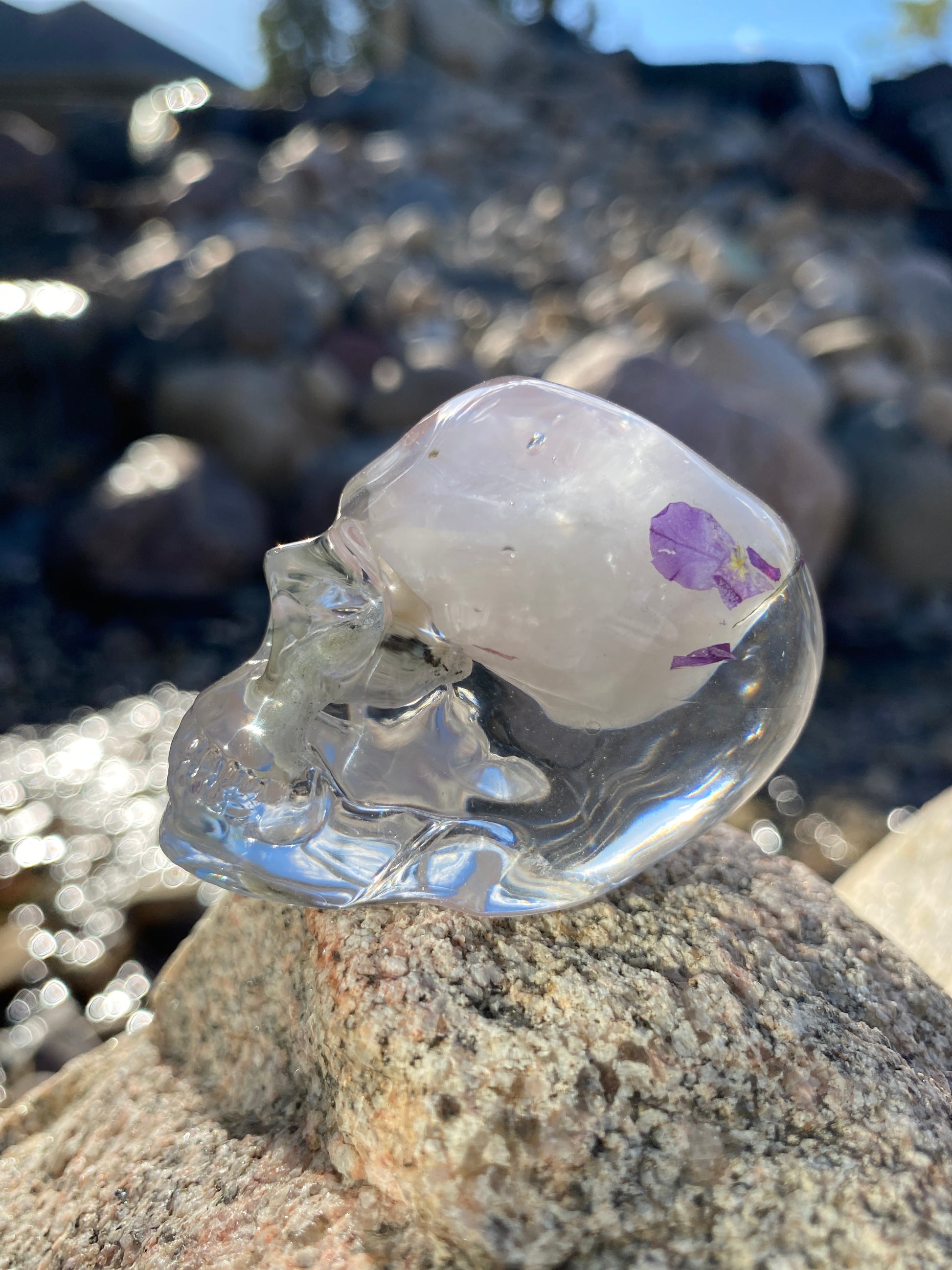 Celine Love & Understanding Skull left