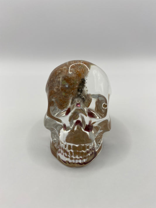 Conway Skull