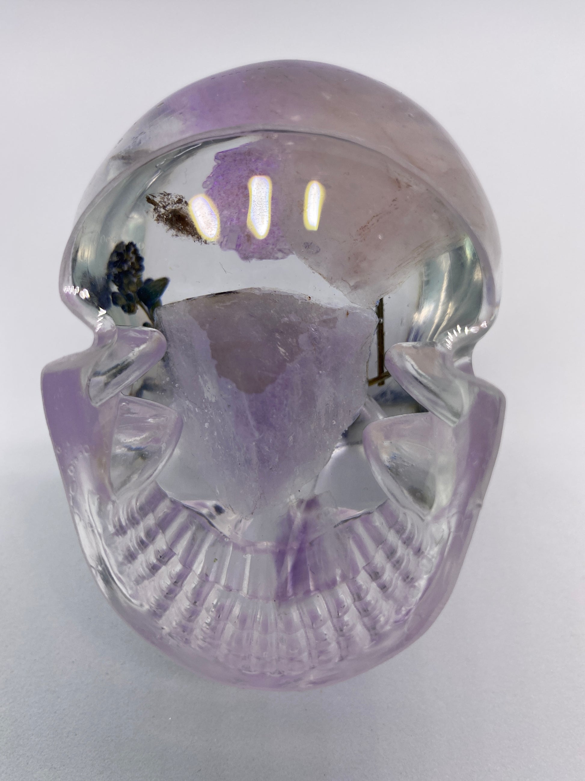 Diana Skull Bottom
