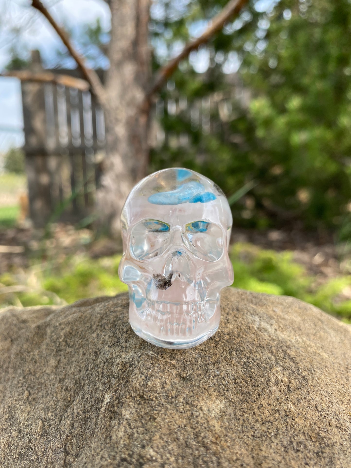 Eleanor Skull