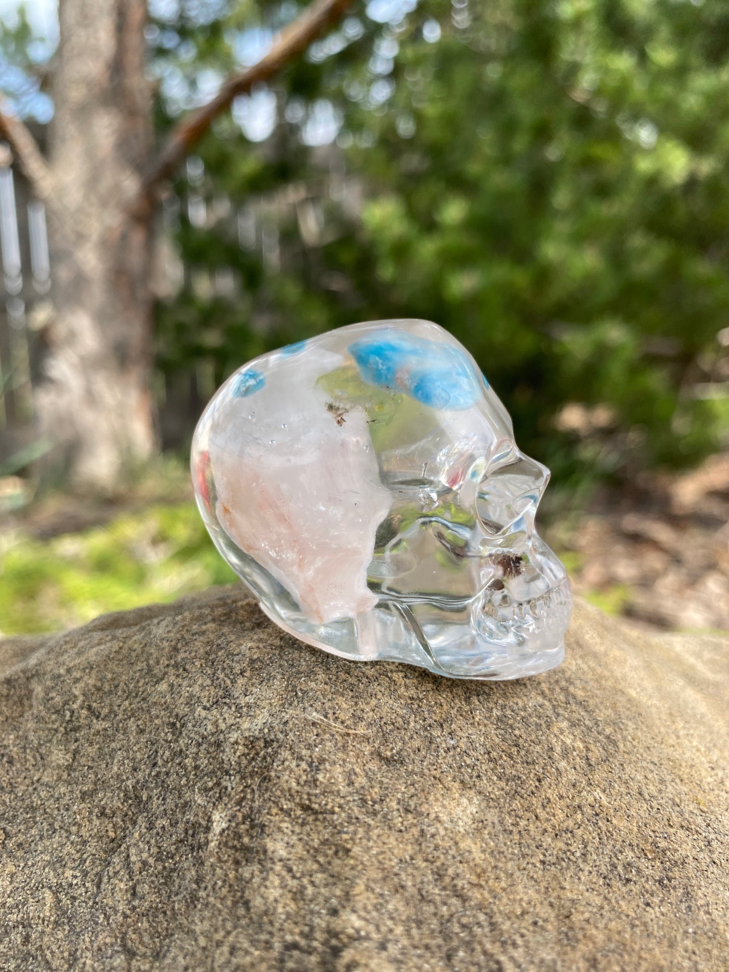Eleanor Skull right