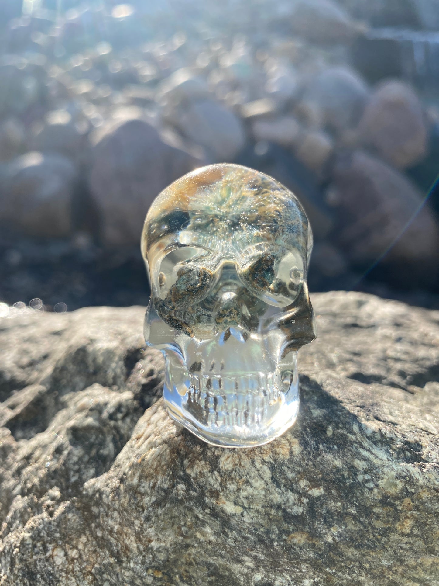 Froggy Flow Skull