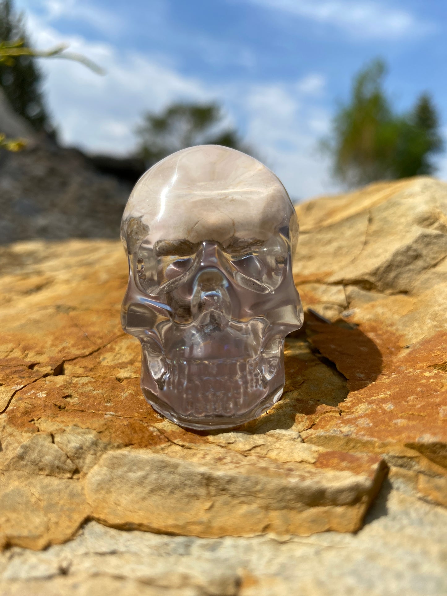 Garnish Skull