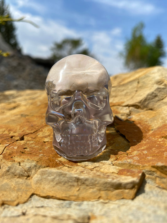 Garnish Skull