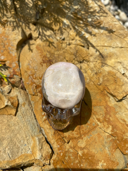 Garnish Skull top
