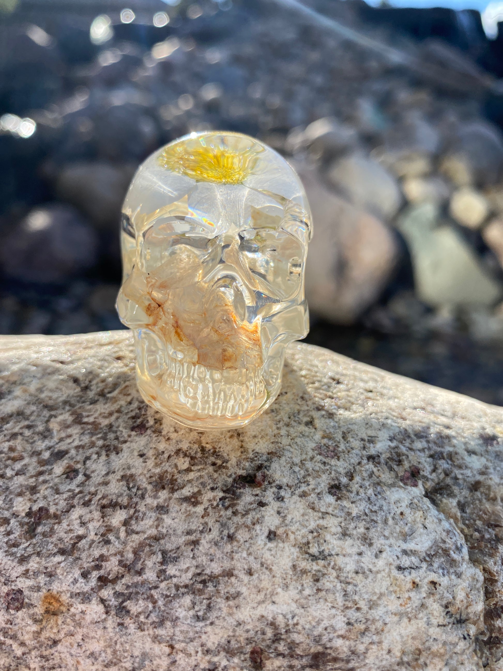 Gertrude Joy Skull