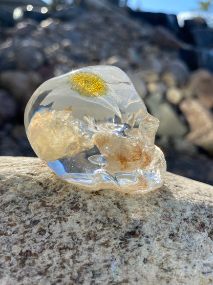 Gertrude Joy Skull right