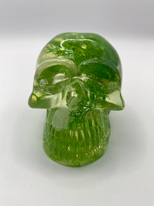 Helia Skull
