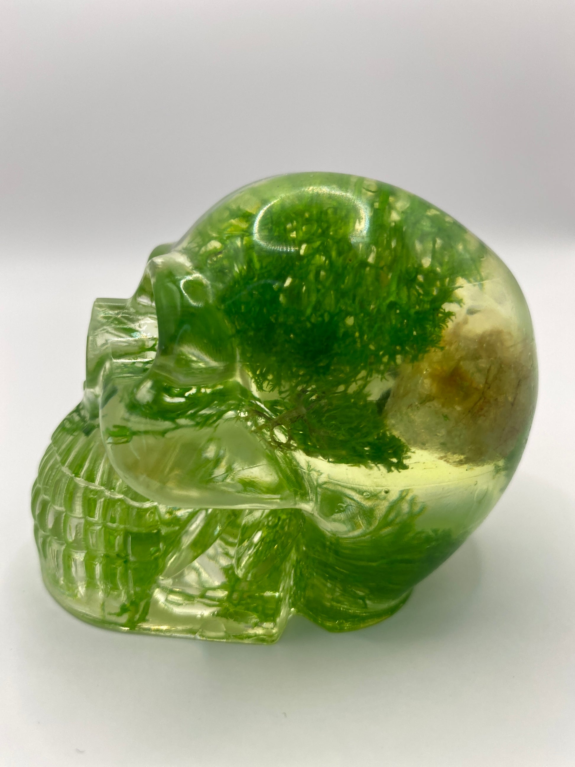 Helia Skull Left