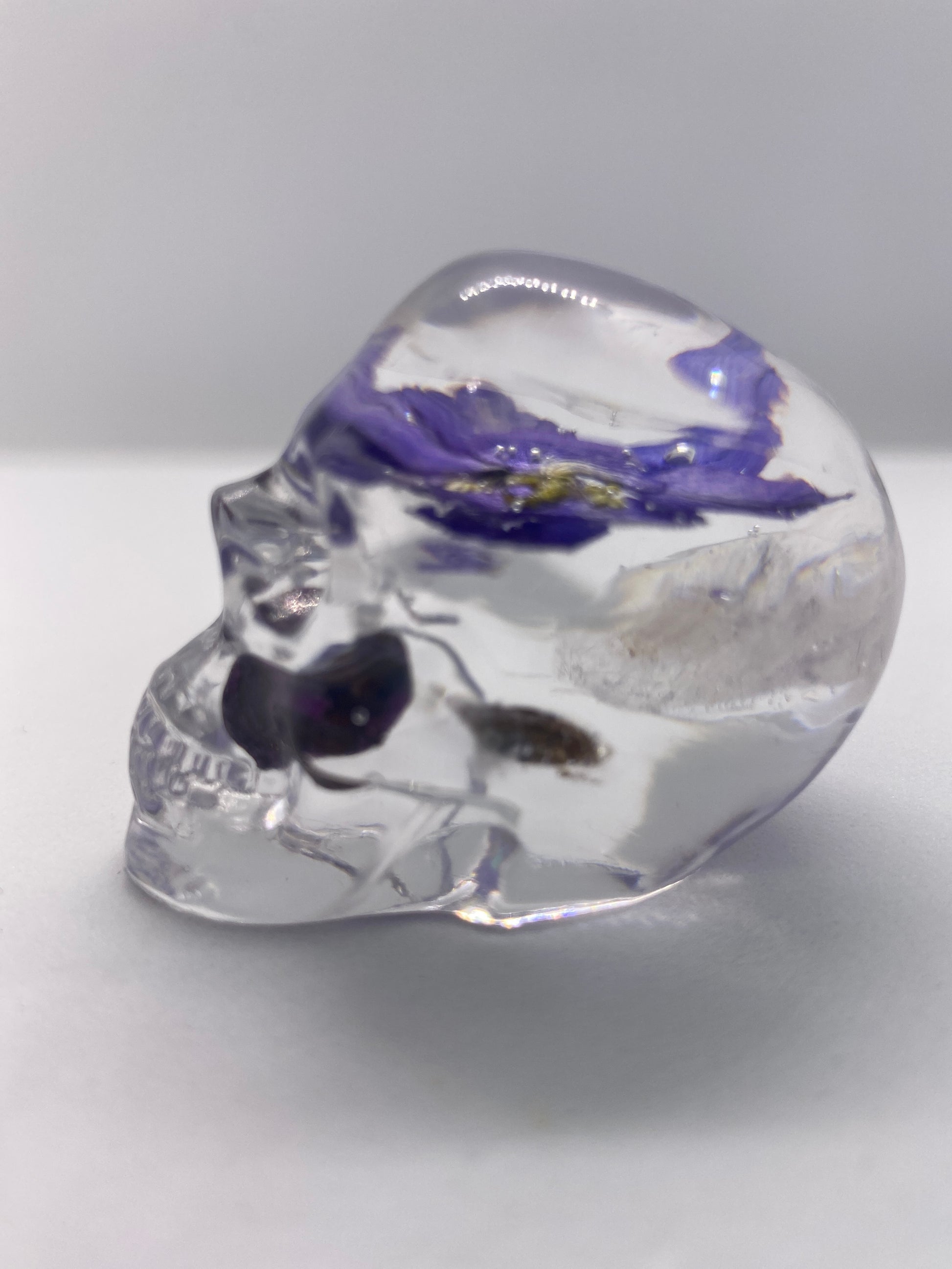 Holly Skull Left