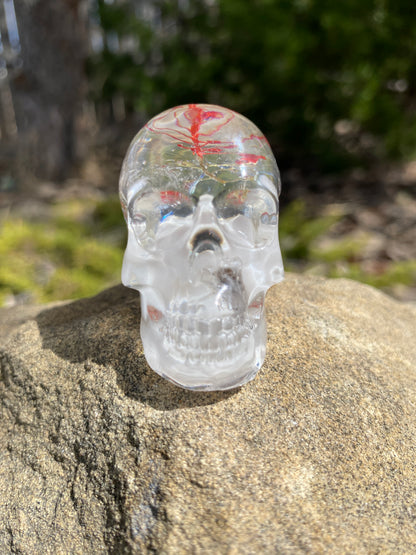 Shani Skull