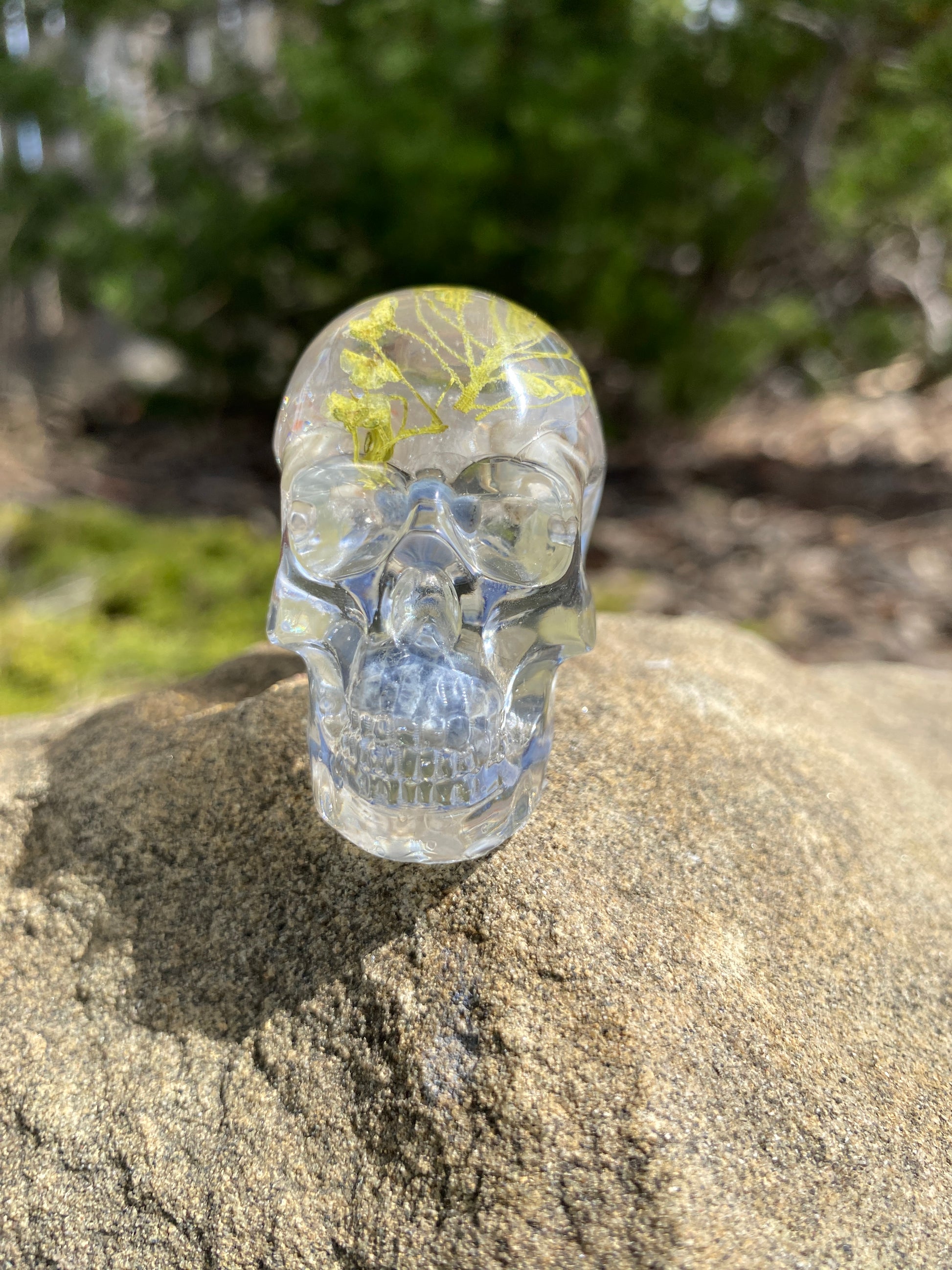 Teagan Skull