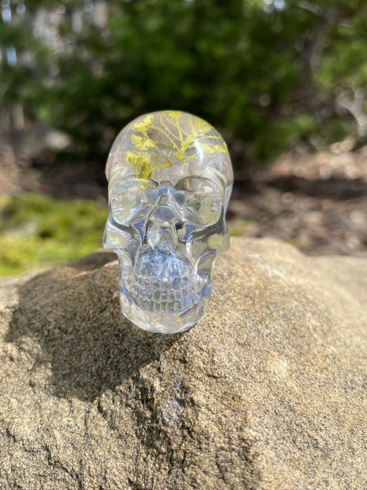 Teagan Skull