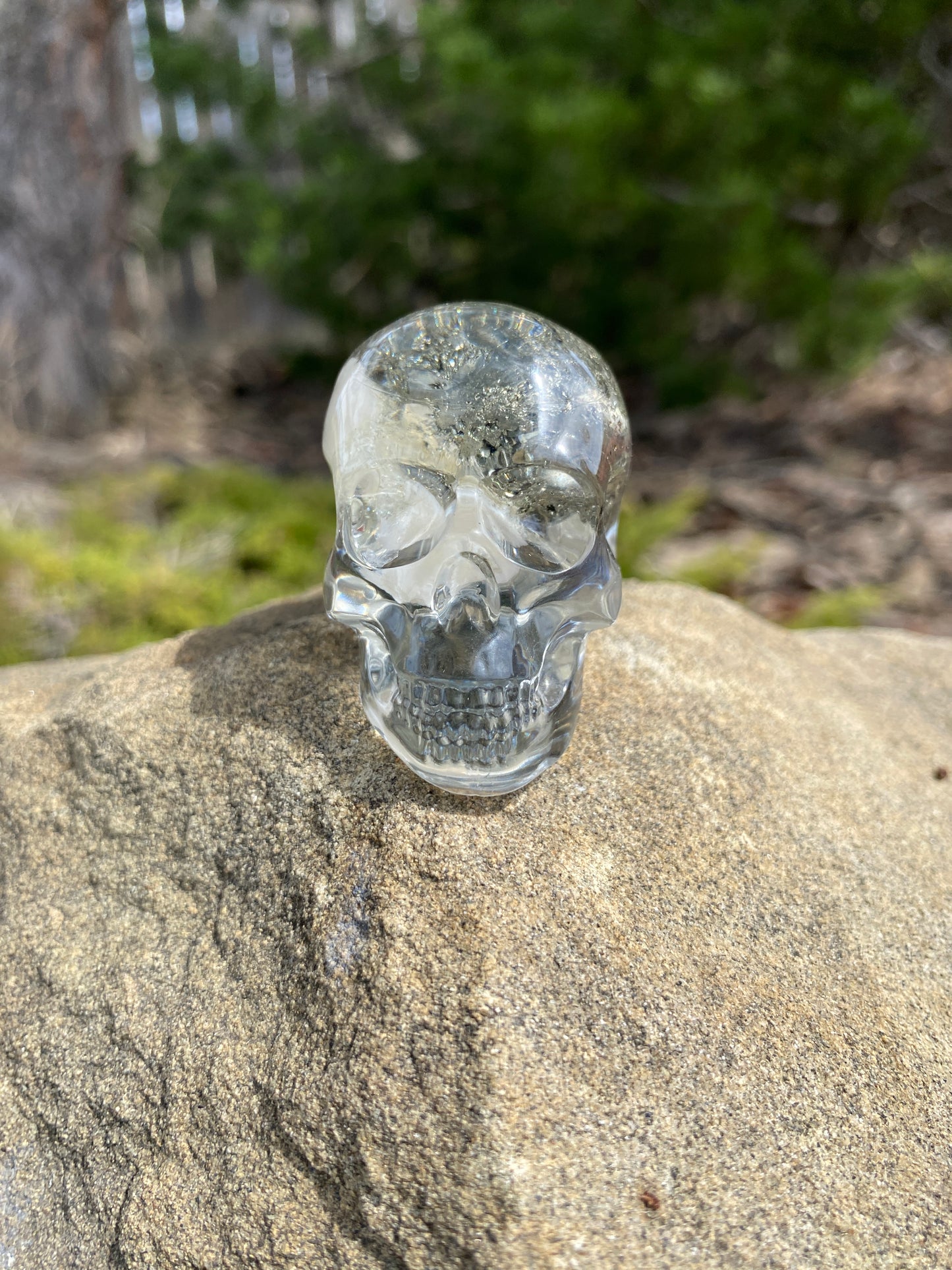 Prosper skull