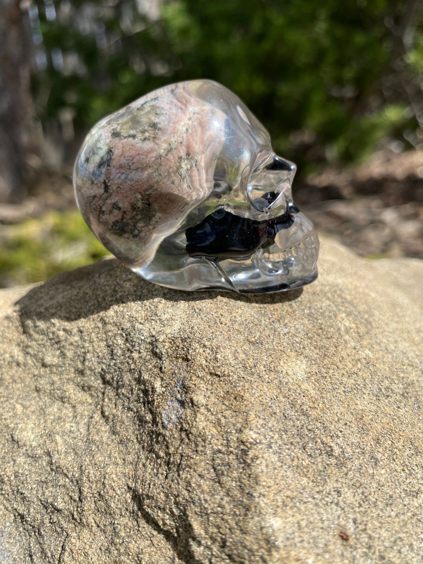Cobain: Higher Consciousness Tiny Skull