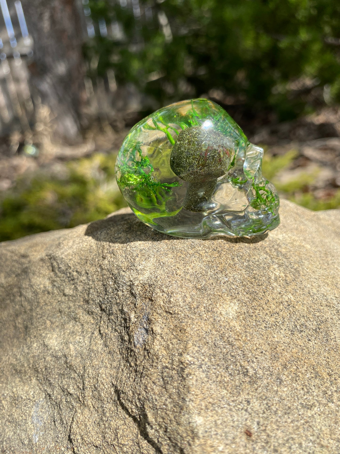 Mush Head: Strength & Courage Tiny Skull