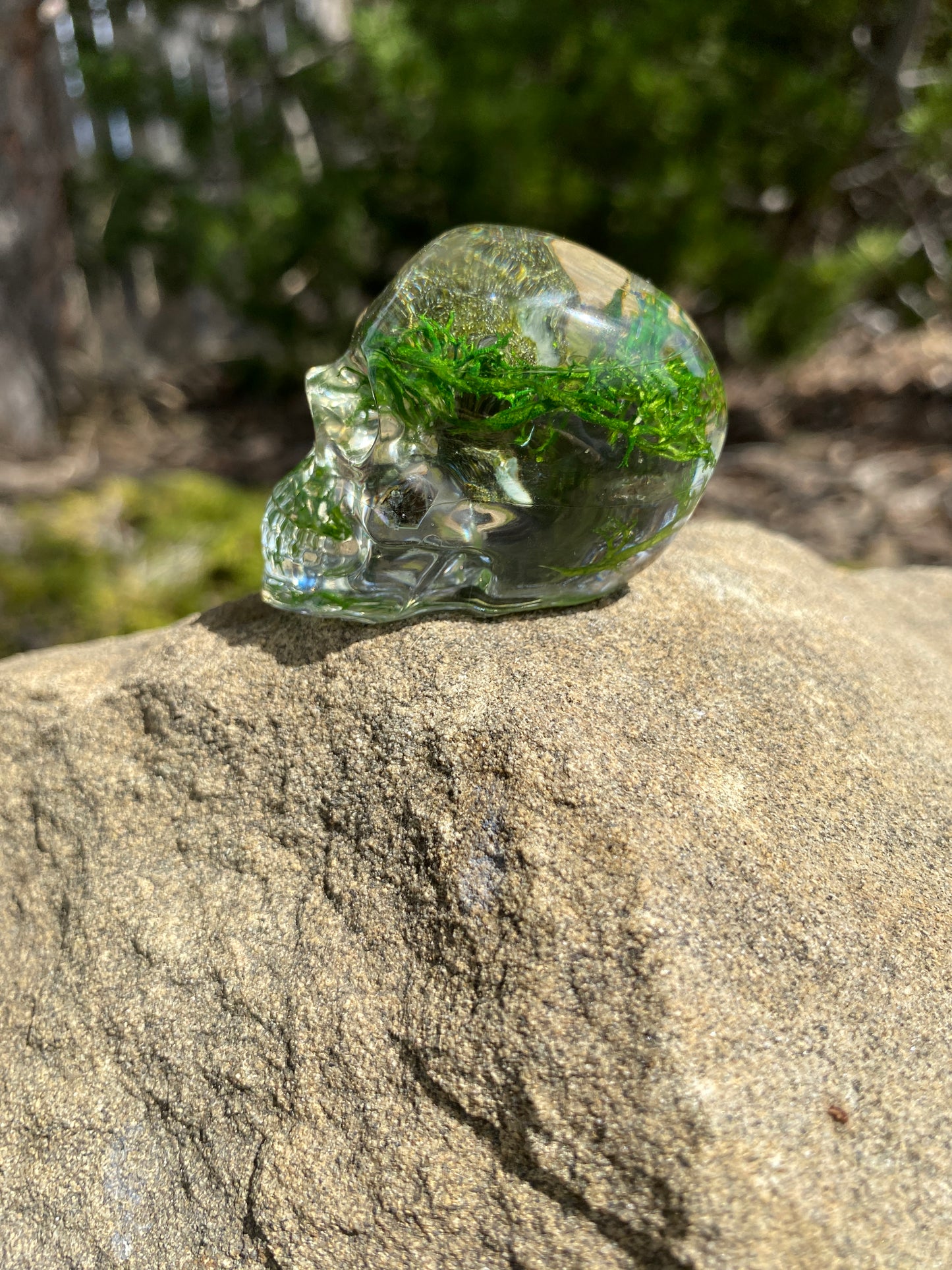 Mush Head: Strength & Courage Tiny Skull