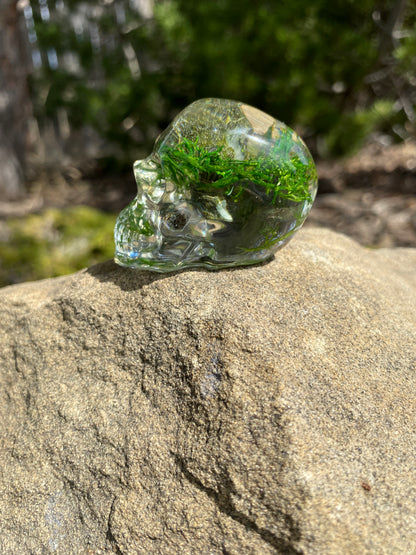 Mush Head: Strength & Courage Tiny Skull