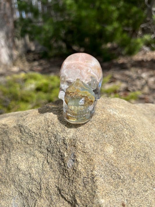 Janny Skull