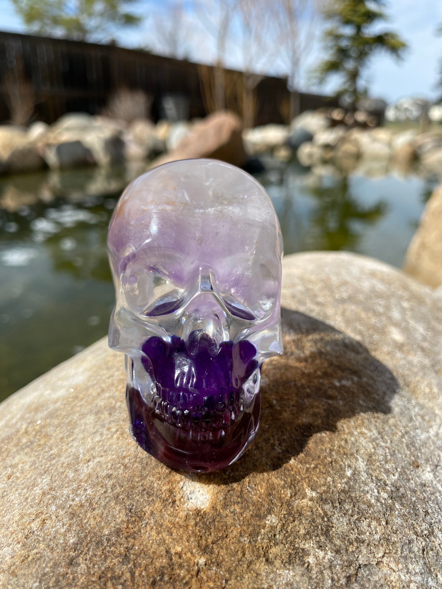 Joni Skull